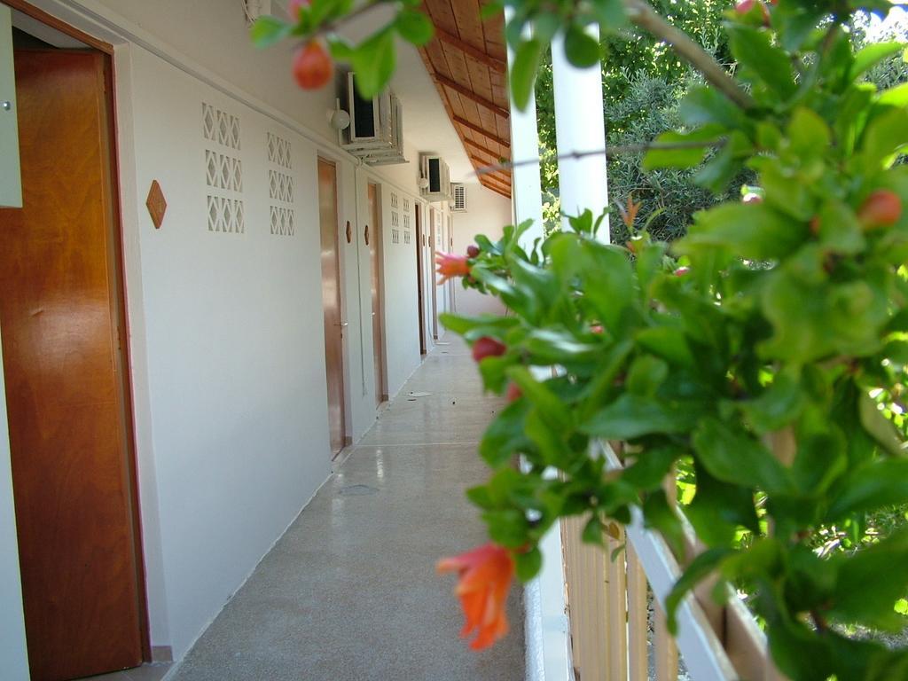 George'S Apartment Agia Marina  Cameră foto