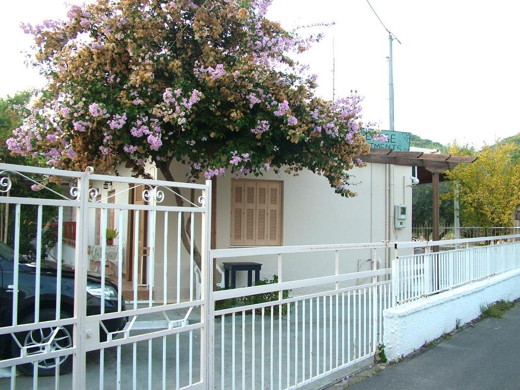 George'S Apartment Agia Marina  Cameră foto